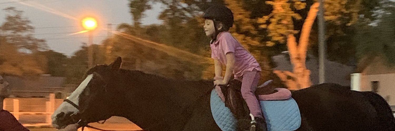 Michelle Todd banner