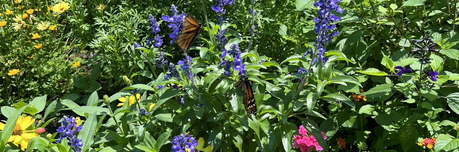 Great Idea Pam banner