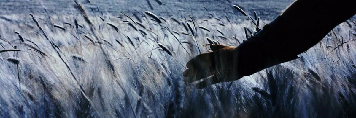 sinemansur's profile banner image