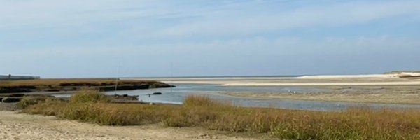 Mere_Constant Profile Banner