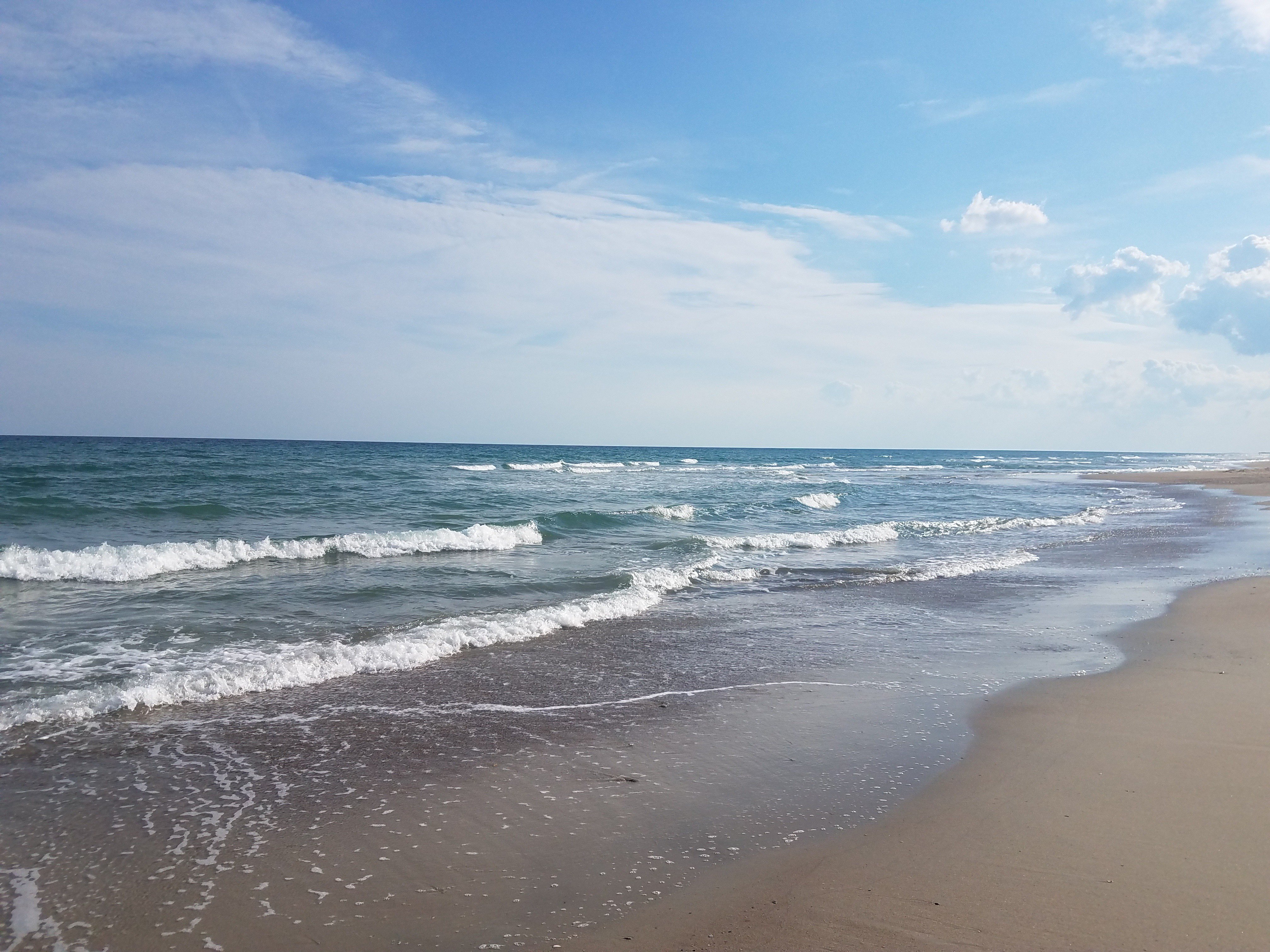 Allison J Bechtel, MD banner