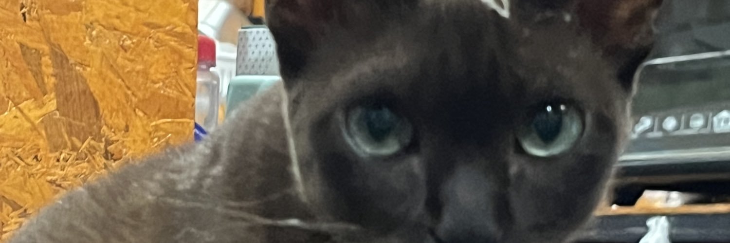 Gigi ✨ banner