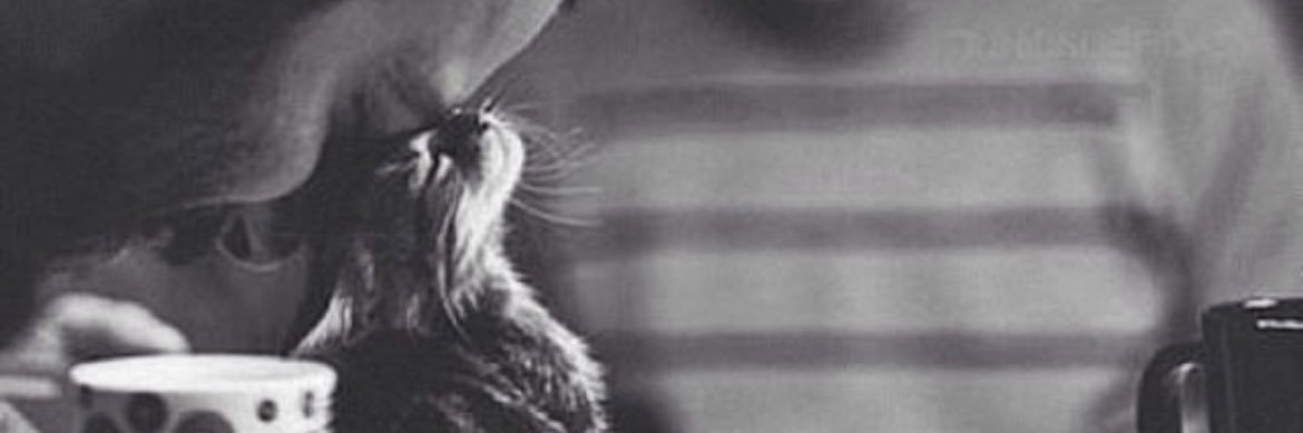 aallaa_88's profile banner image