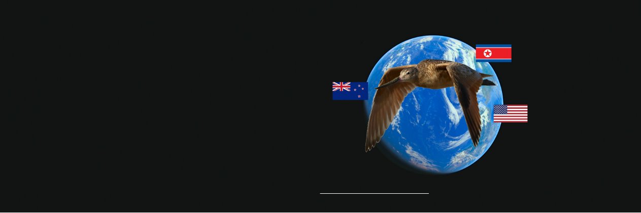 HaurakiClassrm's profile banner image