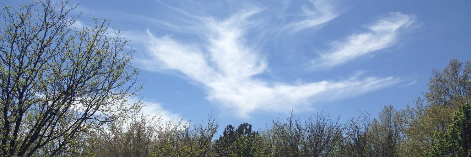 Shane Guymon 🦄 banner