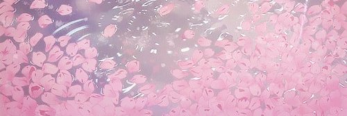 xsaer4n's profile banner image