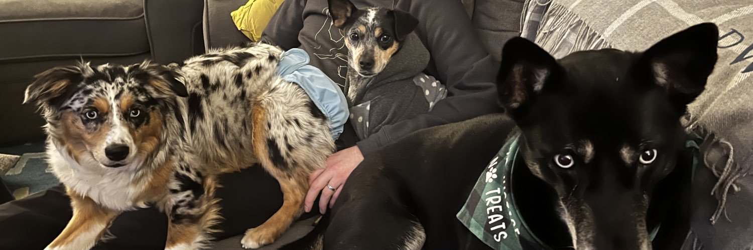 Danny_Rosewoods banner