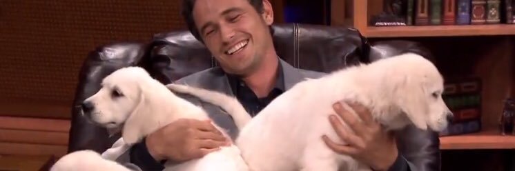 MLAkrumel's profile banner image