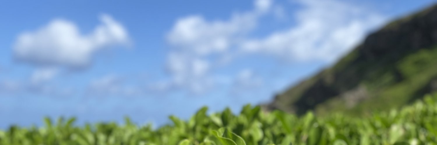 joaocuttrim's profile banner image
