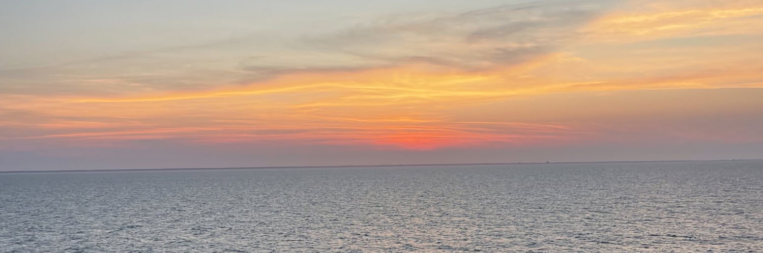 molly_fitz99's profile banner image