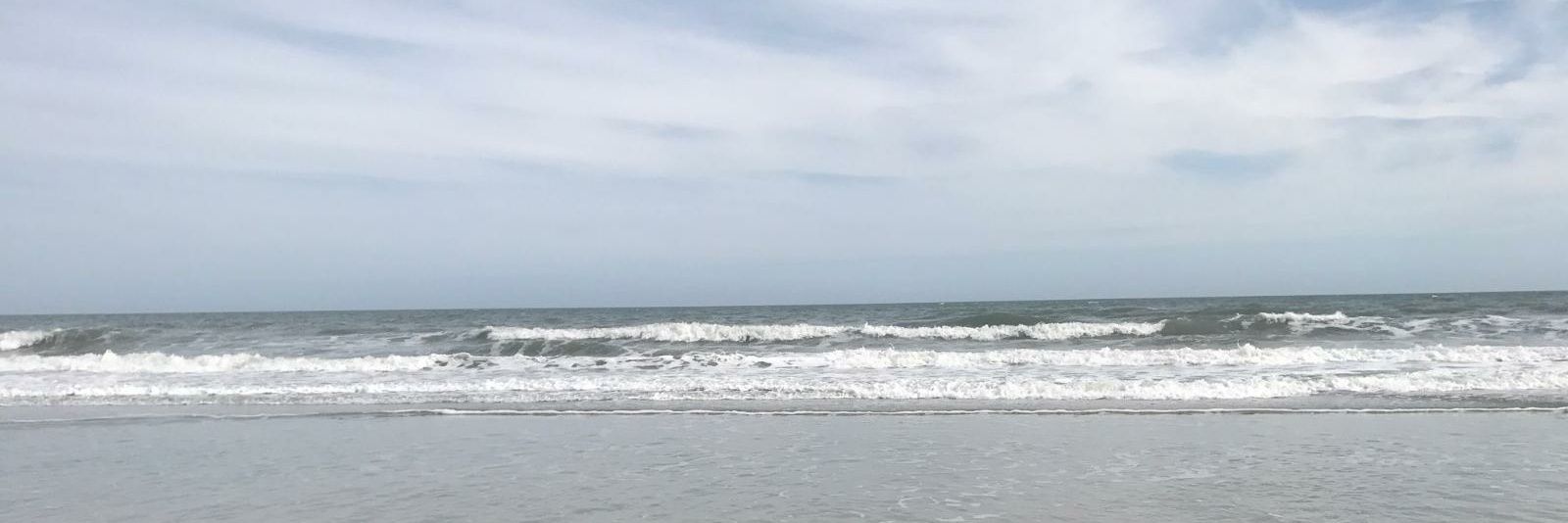 shawncapri1's profile banner image