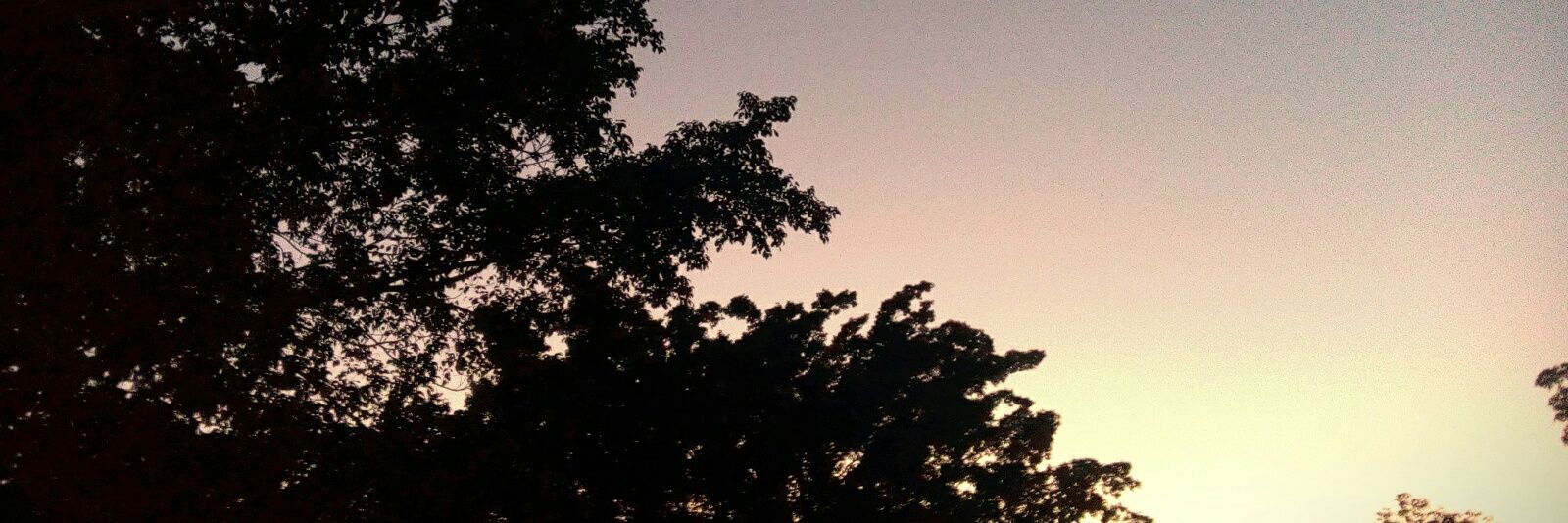 ImTans_22's profile banner image