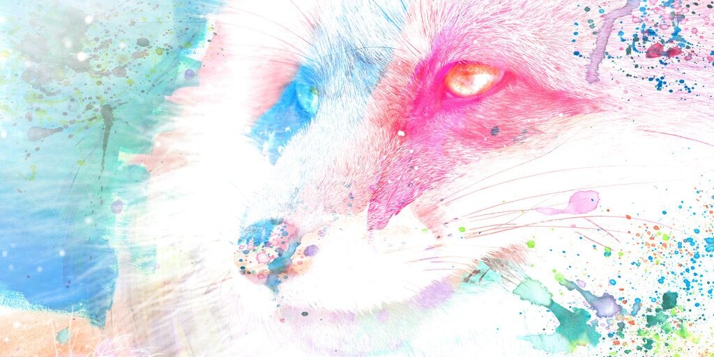 flowersandfoxes's profile banner image