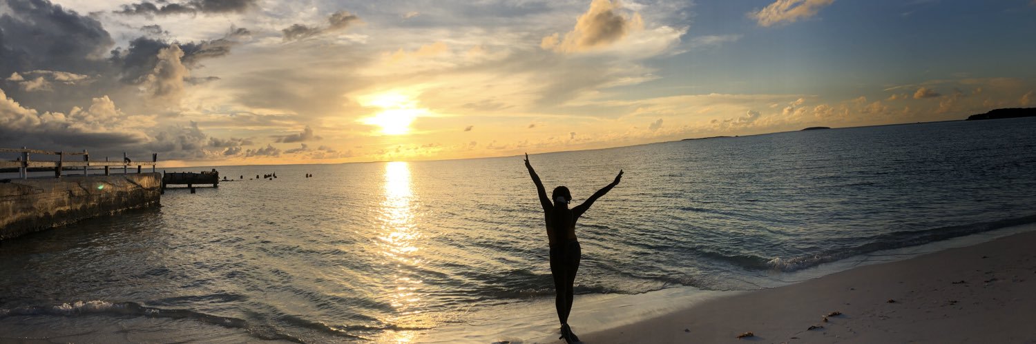 lanisee__'s profile banner image