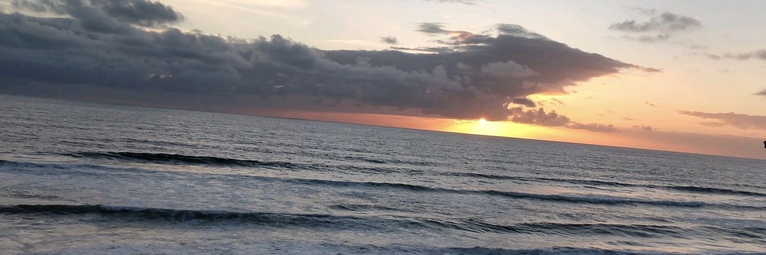 laneneville's profile banner image