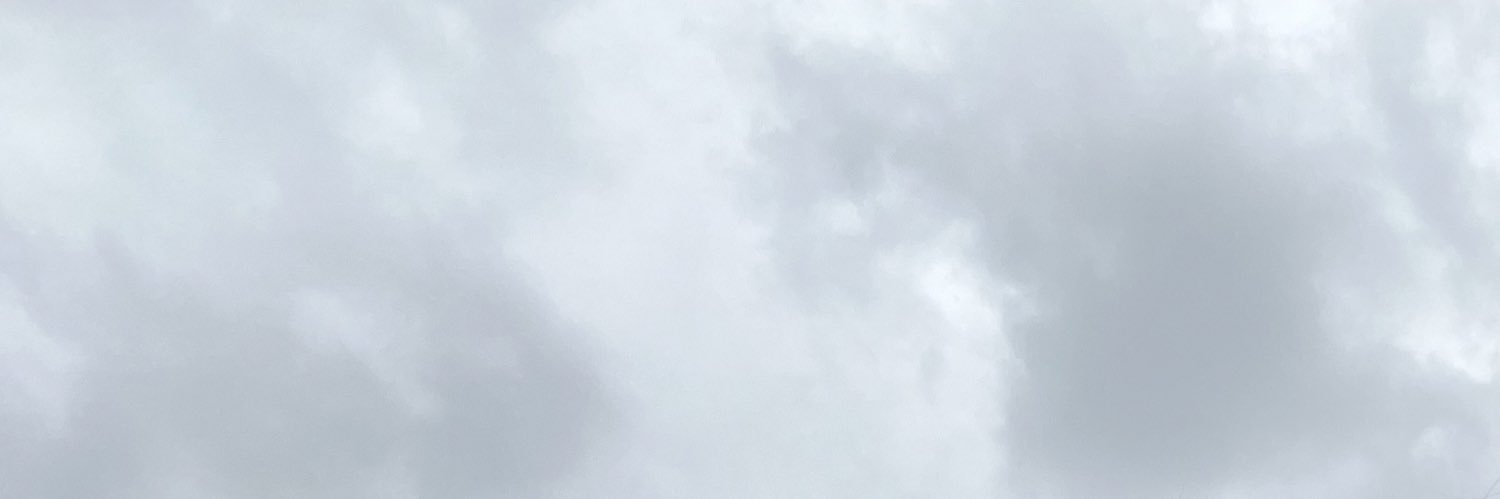 angieeevg's profile banner image