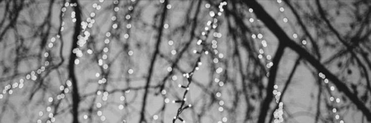 tararae23's profile banner image