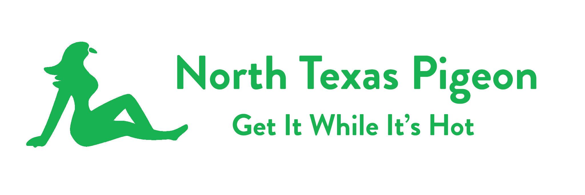 NTPigeon's profile banner image