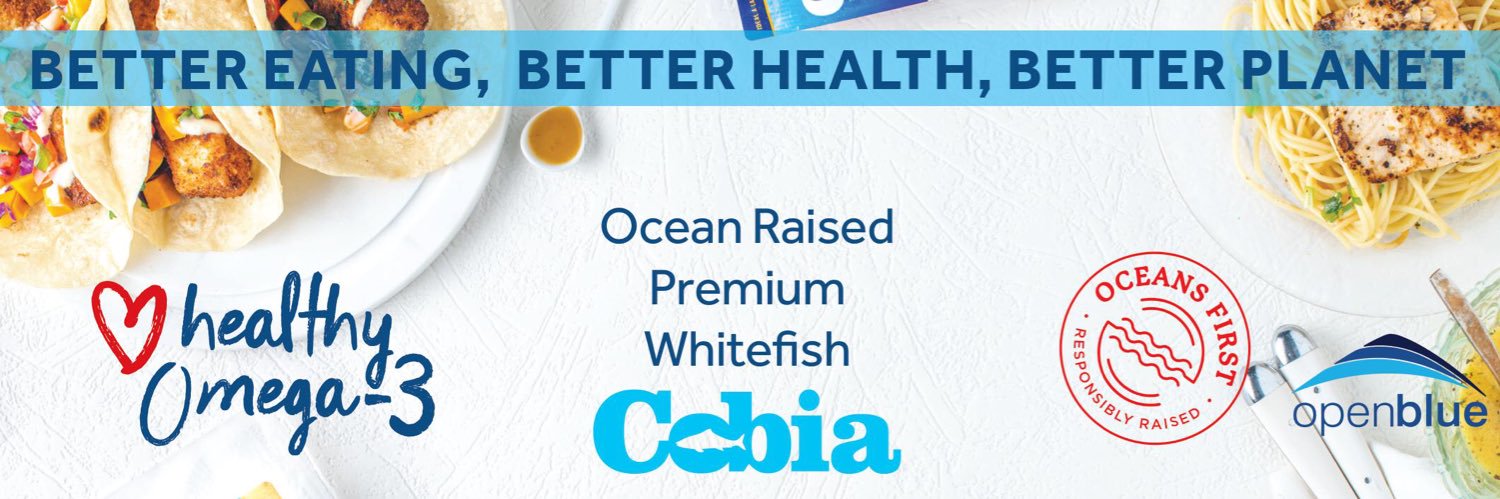 OpenBlueCobia's profile banner image