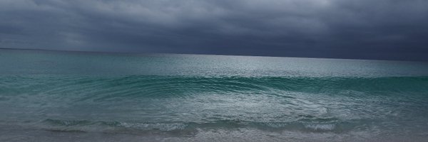 DHoylePharm Profile Banner