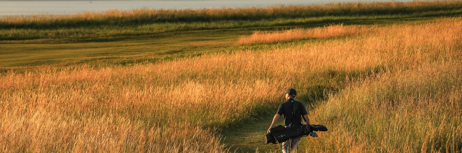 garDavidson's profile banner image