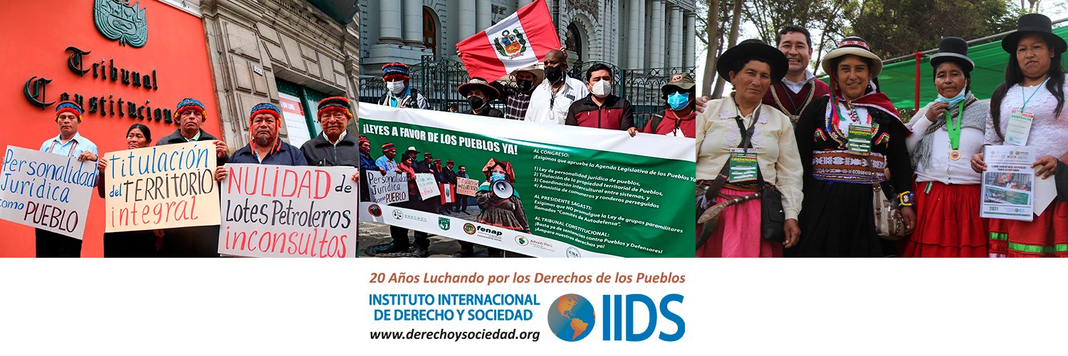 Instituto Internacional de Derecho y Sociedad-IIDS banner