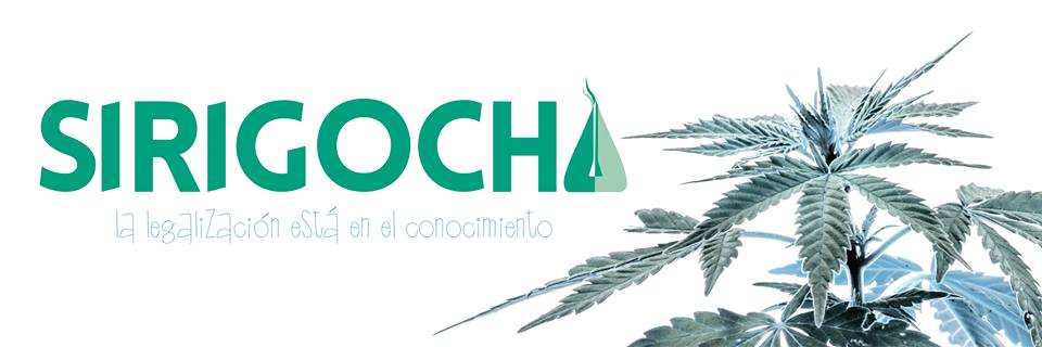 SIRIGOCHA's profile banner image