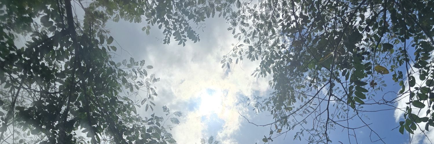 SuarezHumble's profile banner image