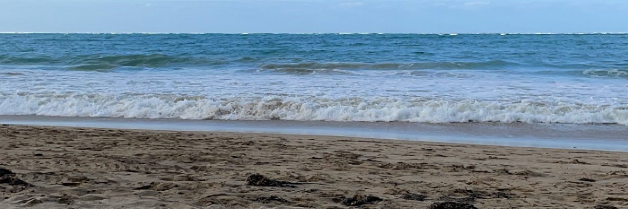 Jordan Litofsky banner