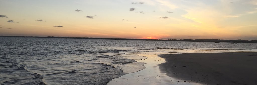 CatesMaddy's profile banner image