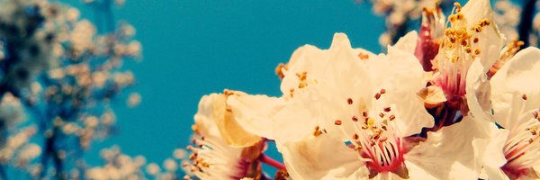 duckingziton Profile Banner