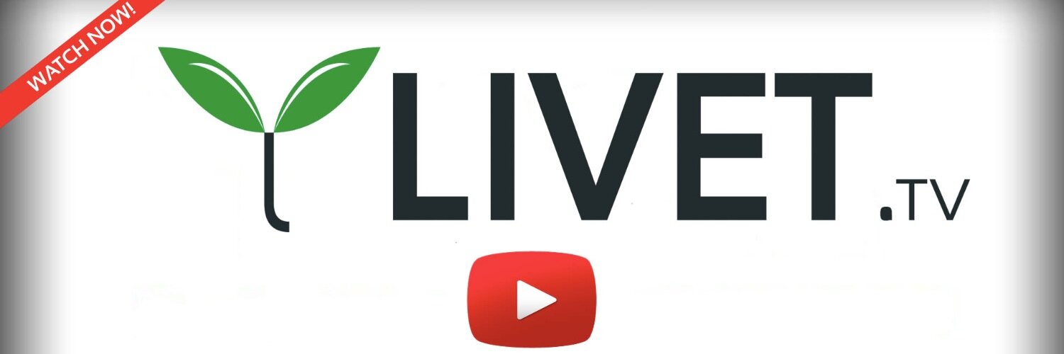 LIVETLIFESTYLE's profile banner image