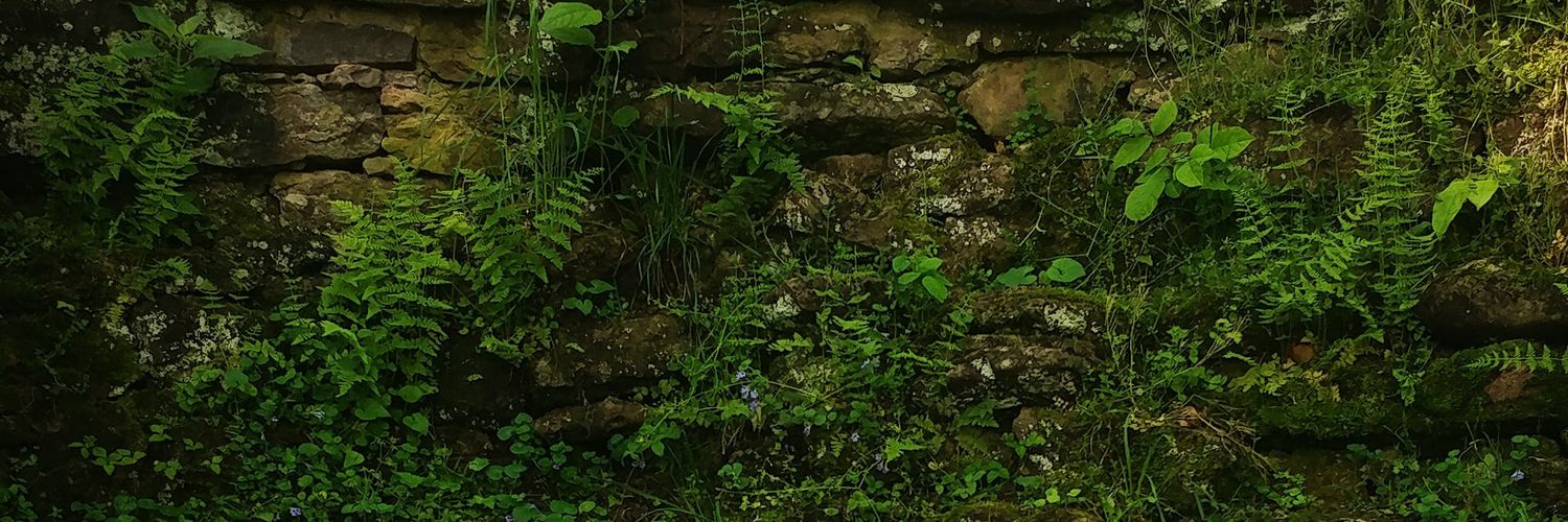 ArianaHodes's profile banner image