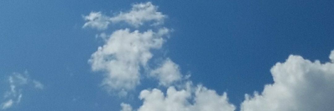 hholton316's profile banner image