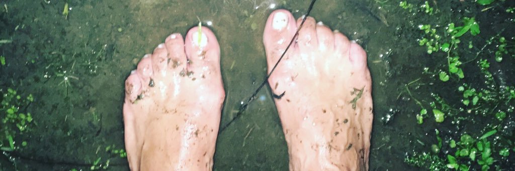 🥂🧙🏻‍♂️🌵RenaultAgain banner