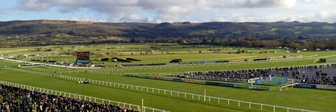 Chris Flavell banner