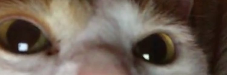 TrevorD25's profile banner image