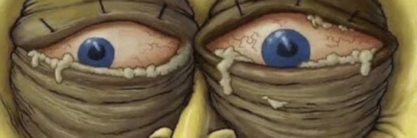 ZayFromALB's profile banner image