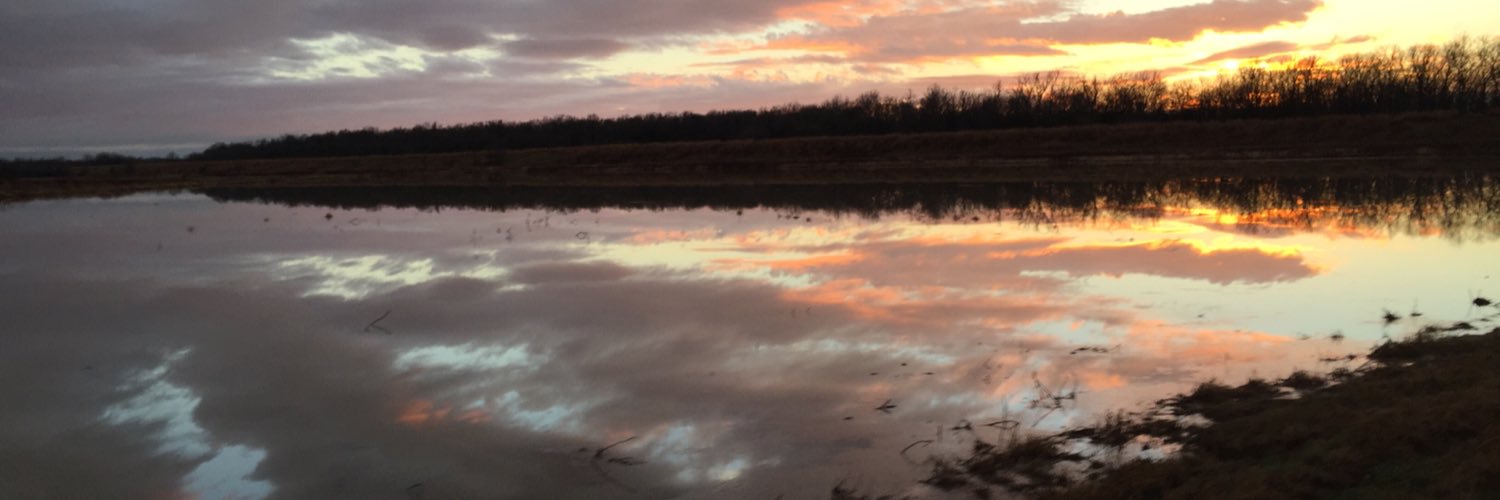 kgoldmanlr's profile banner image