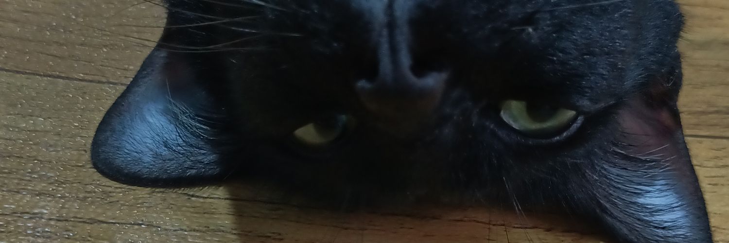 🐈‍⬛ banner