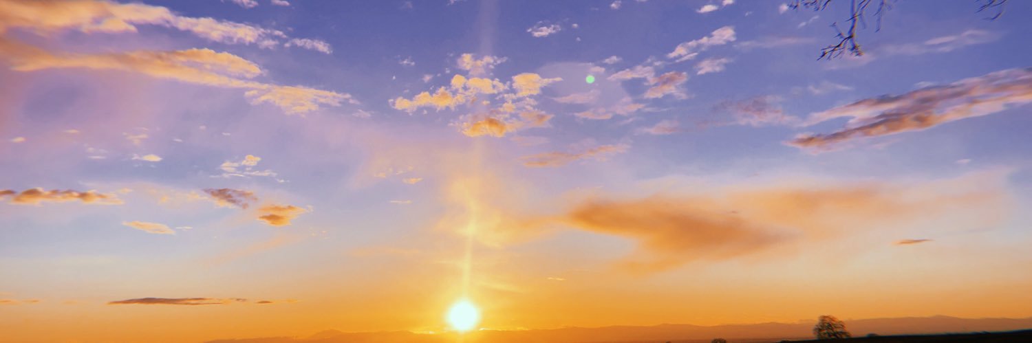 DemiTrout's profile banner image