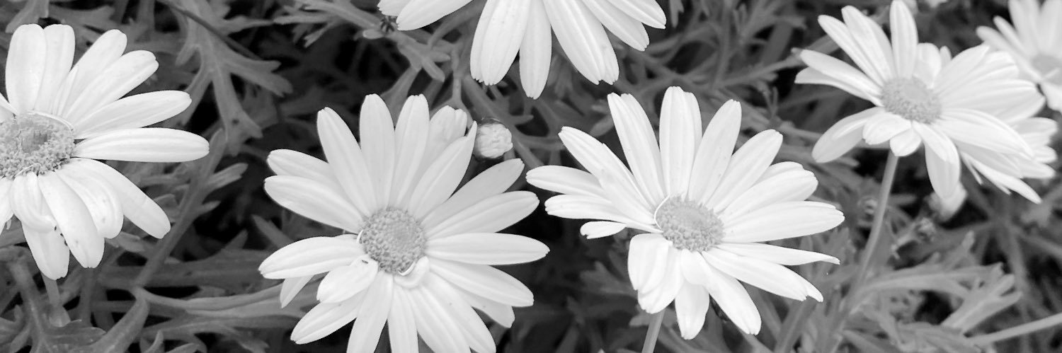 MariaGilLacasa's profile banner image