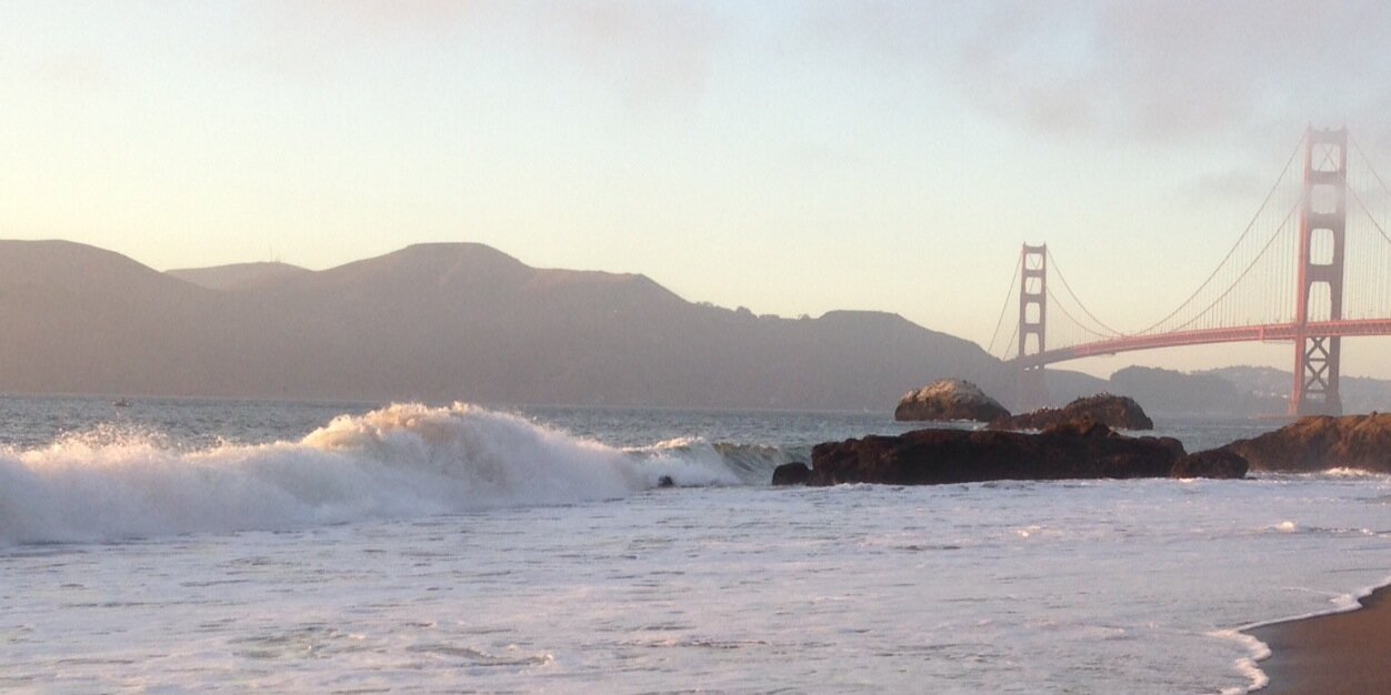 Dr. Michael Bloemsma banner