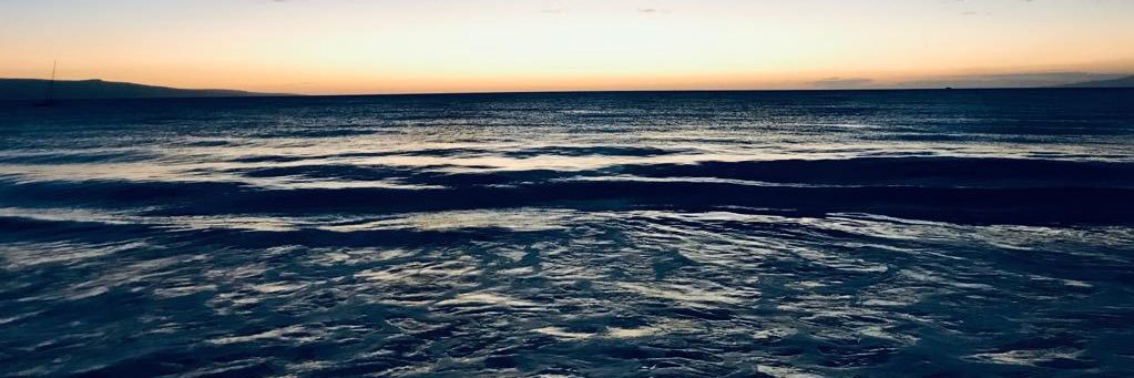 rosecounsels's profile banner image