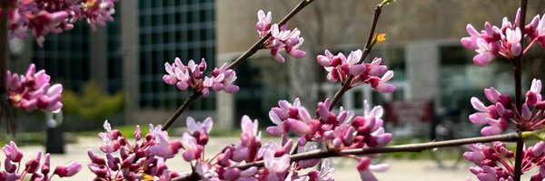 McMasterEng Profile Banner
