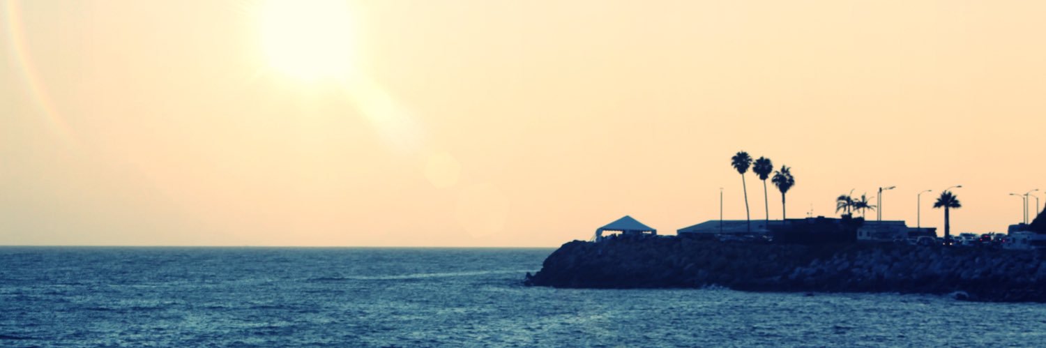 TooMuchDlee's profile banner image