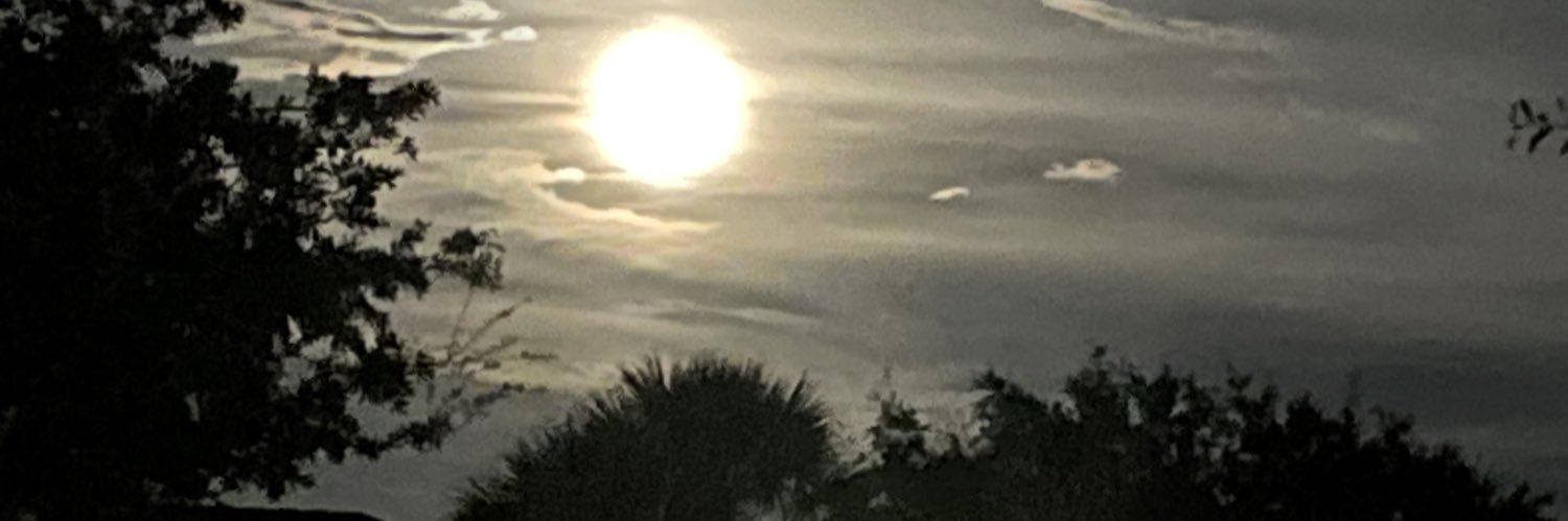 CLR78253's profile banner image