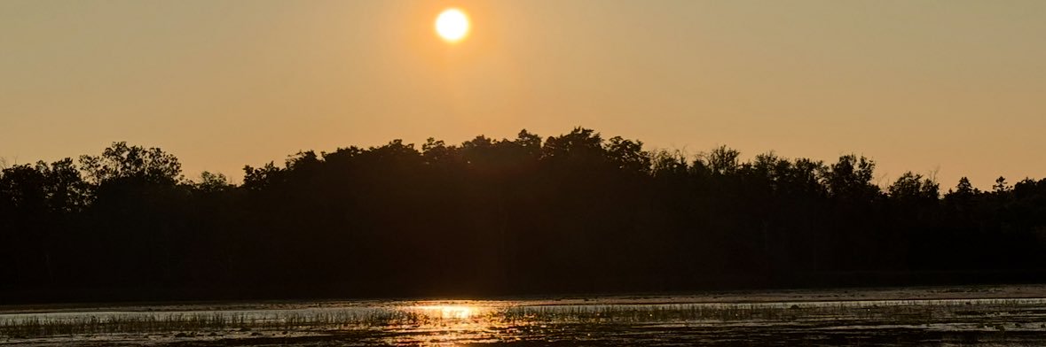 Michelle 🇨🇦 banner