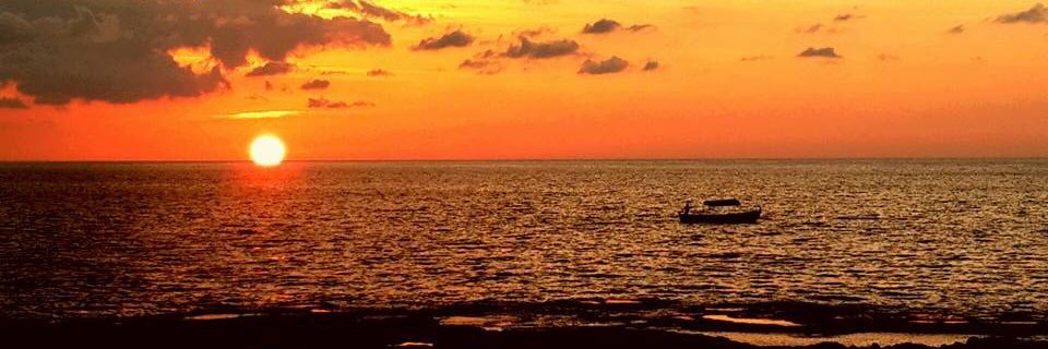 alexandra_karam's profile banner image