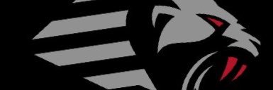 GuardiansGuru's profile banner image